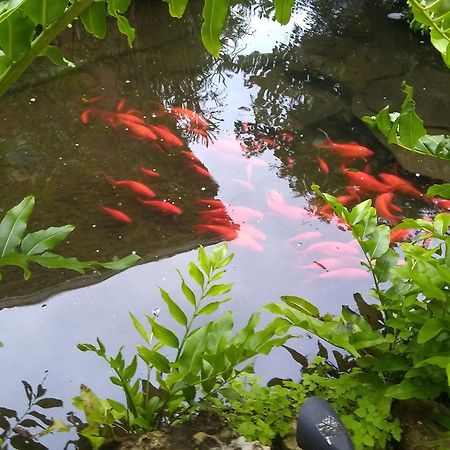 Cape Coral Paradise - Amazing View ภายนอก รูปภาพ